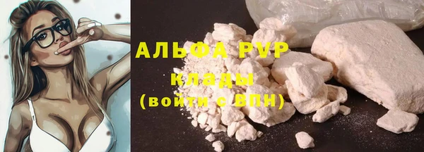 стаф Струнино