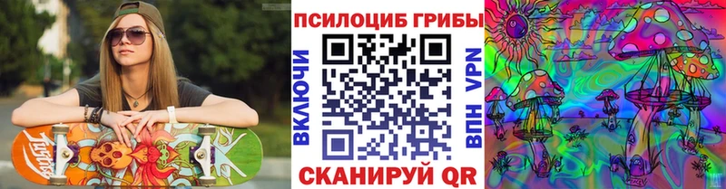 Купить закладки Кирово-Чепецк Галлюциногенные грибы прущие грибы